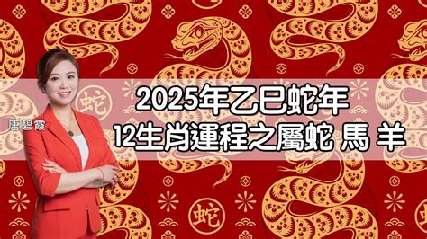 蛇年運程|麥玲玲2025蛇年生肖運程｜最新十二生肖整體運勢/財 